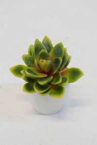 Faux Plants: Succulents - faux (various)