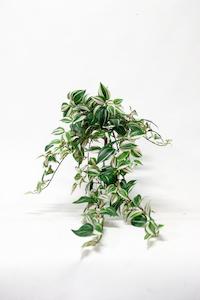 Faux Plants: Green Wandering Dew Hanging Bush
