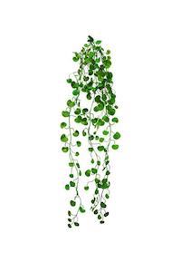 Faux Plants: Button Fern Vine