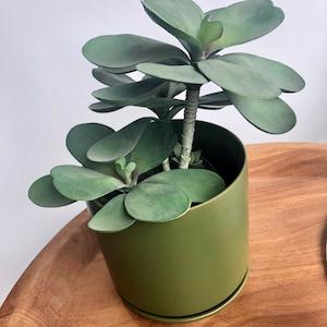Faux Plants: Oslo Planter - large (all colours)