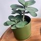 Oslo Planter - large (all colours)