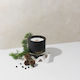 Wild Pine + Juniper Berry Candle (limited edition)