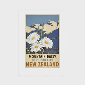 100 New Zealand: Southern Alps Daisy - Tourist Print