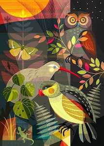 Good Night Time in the Forest - Ellen Giggenbach