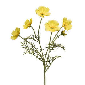 Gifts Under 20: Cosmos Flower Stem