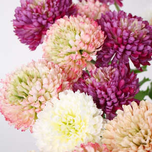 Zinnia Spray Flower Stem