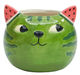 Watermelon Cat Small Planter