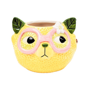 Vases Planters And Pots: Tropicana Cat Lemon Planter