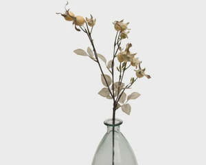 Gifts Under 20: Rosehips