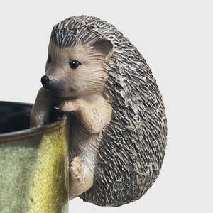 Hanging Hedgehog