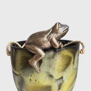 Novelty: Hanging Frog II
