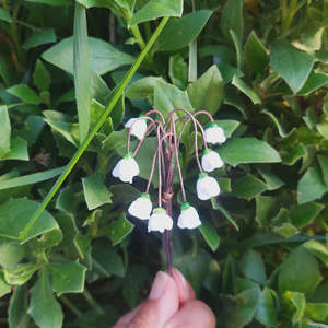 Rainey Design: Mini Glass Lily of The Valley