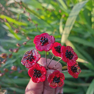 Mini Glass Poppy Flowers