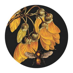 Kowhai & Bee Mirror - Tanya Wolfkamp