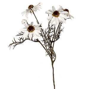 White Echinacea Spray - Faux