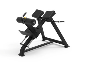 Stock: 45 Degree Back Extension