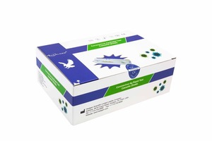 Products: Orient Gene Rapid Antigen Test Box of 20 - Industrial Signs