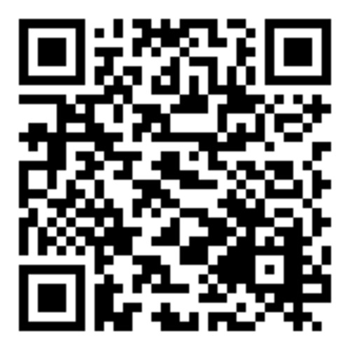 Hex end 1/4", T40, L50mm