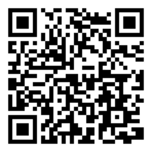 Hex end 1/4", T27, L50mm