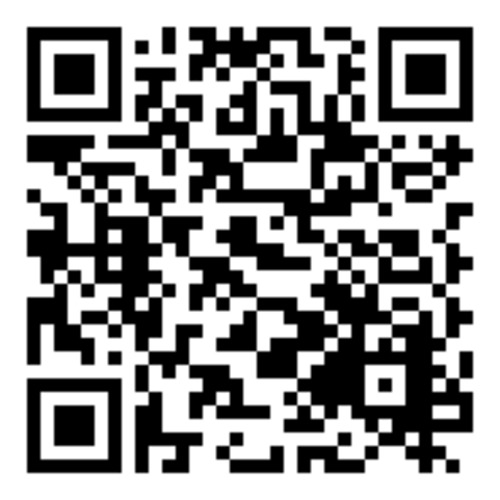 Hex end 1/4", T20, L50mm