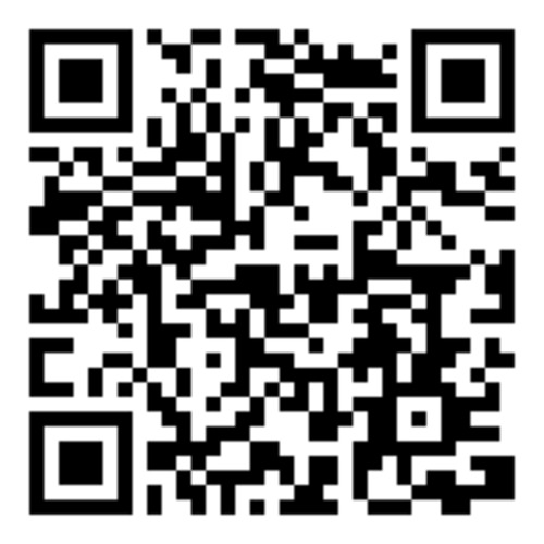 Hex end 1/4", T15, L50mm