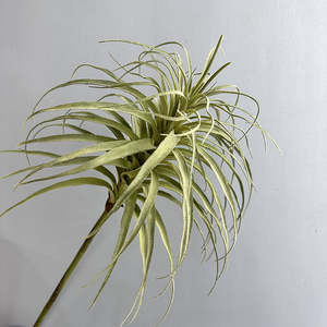 Most Popular: Tillandsia Artificial Greenery 90cm TILLANDSIA01