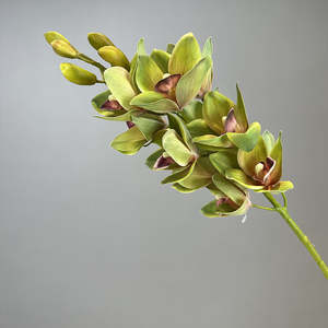 Orchid Artificial Silk Flower Green ORCHID0018