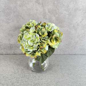 Arrangement: GREEN HYDRANGEA BALL