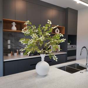 Arrangement: Breynia Drift