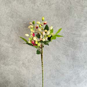 Flower: Berry White and Red