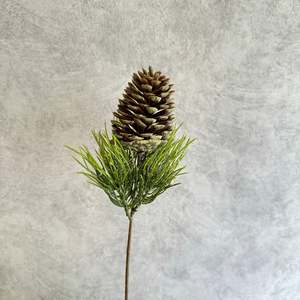 Flower: Pinecone001