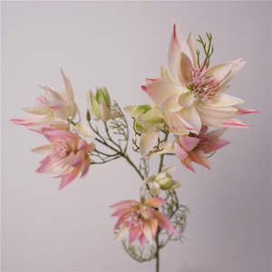 Flower: Serruria Florida Artificial Flowers Vari Pink Green SERRURIA FLORIDA001