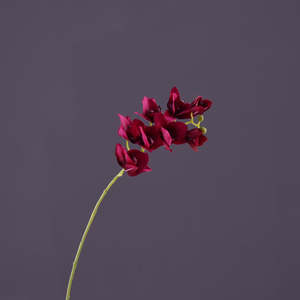 Mini Orchid Artificial Flowers Burgundy ORCHIDlj001