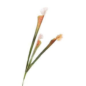 Trumpet Artificial Flower Brown TRUMPET002