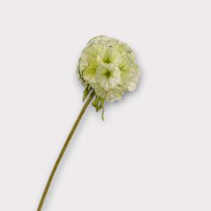 Pristimera Cambodiana Artificial Flower Green PRISTIMERACAMBODIANA002