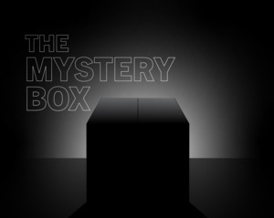 Mystery Box His 1