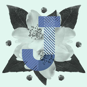 herbal: Sweet Jasmine Dragon Pearl