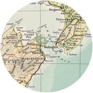 circle map adhesive - C