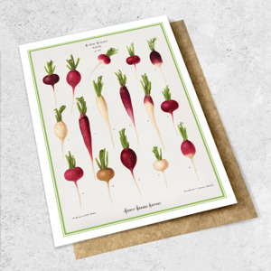 Large Cards 1: vintage radish