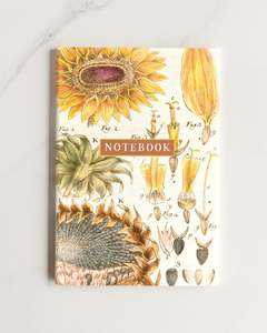 Notebooks: notebook 4