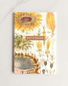 Notebooks: notebook 4