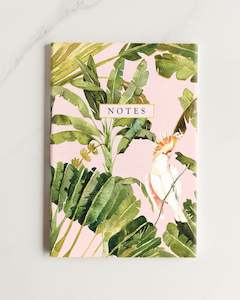 Notebooks: notebook 2