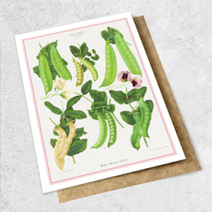 Large Cards 1: vintage sugar peas
