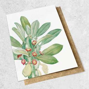 Sale: vintage succulent