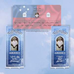 Pull Up Banners: Banner Package