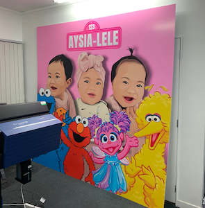 Mural Wall (2 sheets - stand not included)