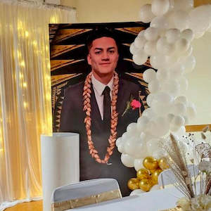 Mural Wall (1 sheet - stand not included)