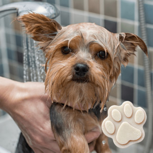 In My Soap Pot DIY Soap BOX – NATURAL DOG SOAP (Special Edition)