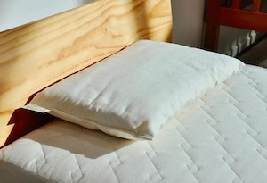 INNATURE Organic Wool & Cotton Child’s Pillow