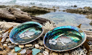 Paua Shell decor